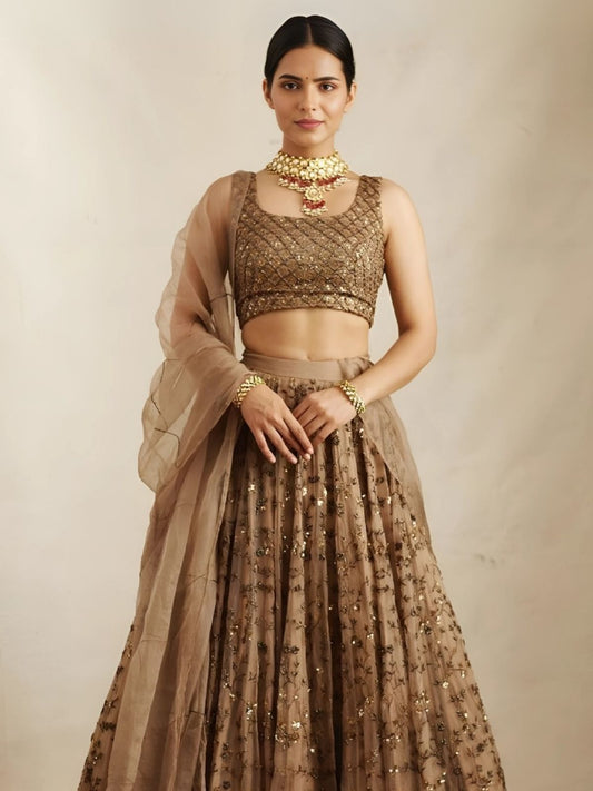 Odette Brown Net Embroidered Semi-Stitched Lehenga For Women