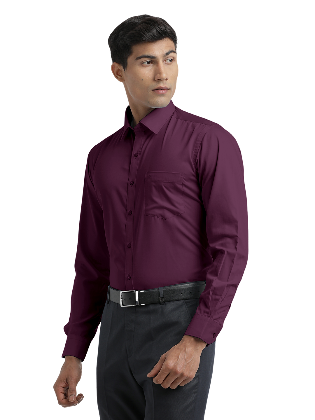 Wine Twill Wrinkle Free Solid Shirt