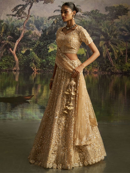 Odette Beige Net Embellished Semi-Stitched Lehenga For Women