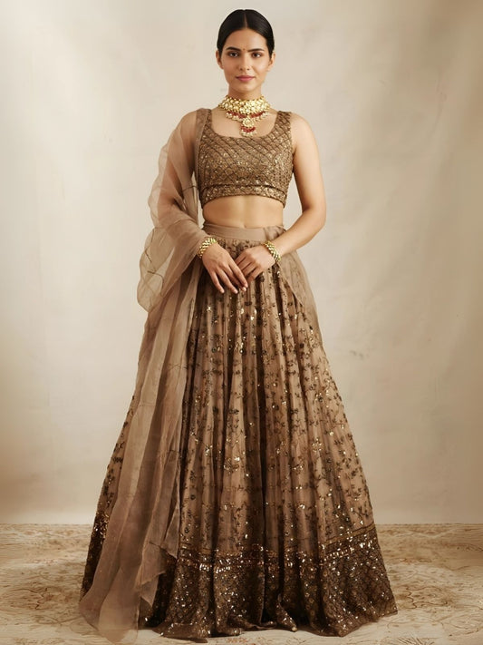 Odette Brown Net Embroidered Semi-Stitched Lehenga For Women