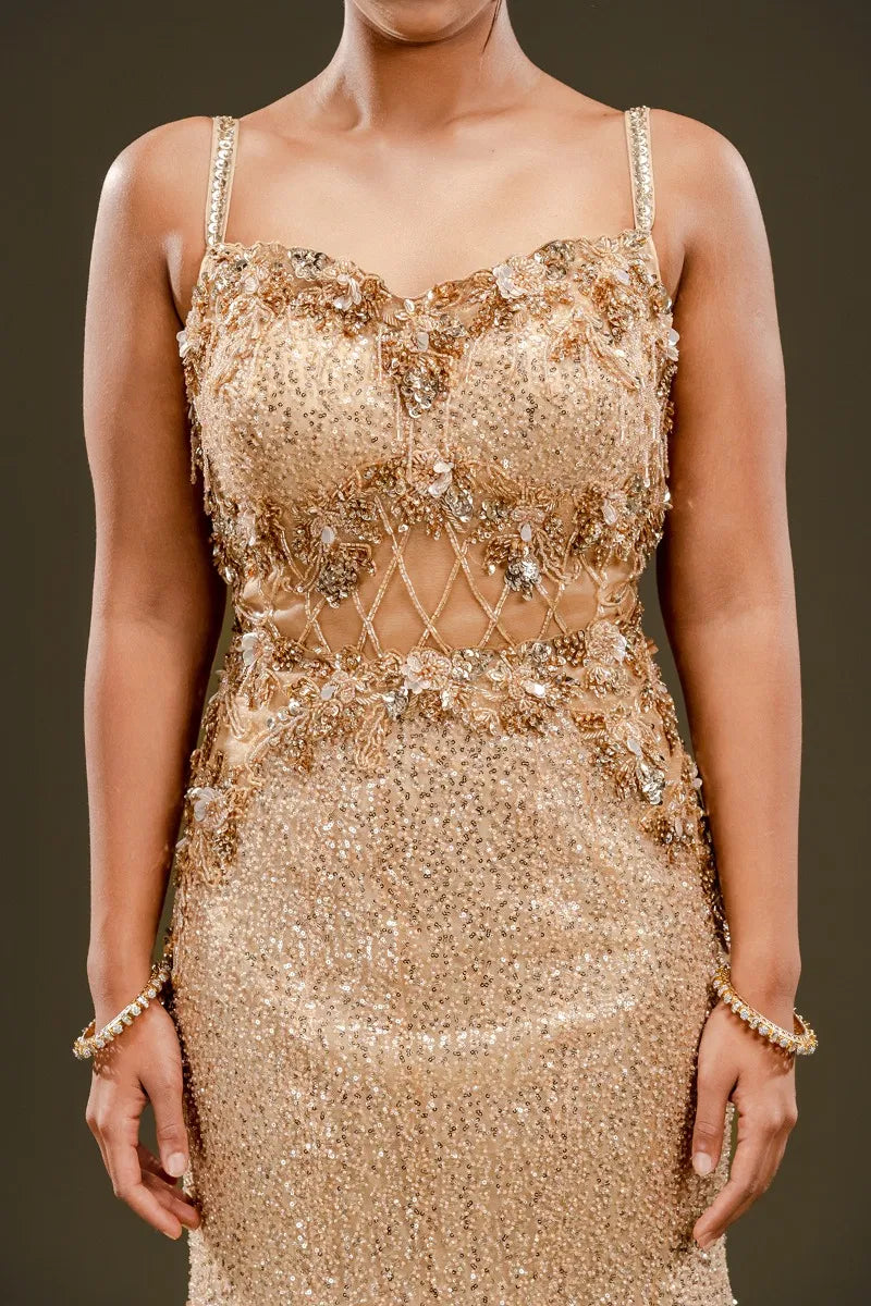 Beige Sequins Embroidered Net Fishcut Gown-JE2337