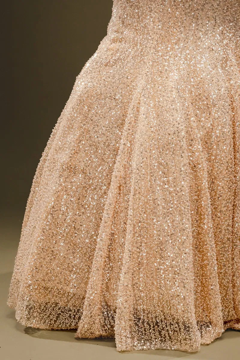 Beige Sequins Embroidered Net Fishcut Gown-JE2337