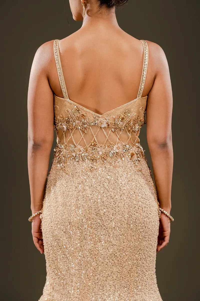 Beige Sequins Embroidered Net Fishcut Gown-JE2337